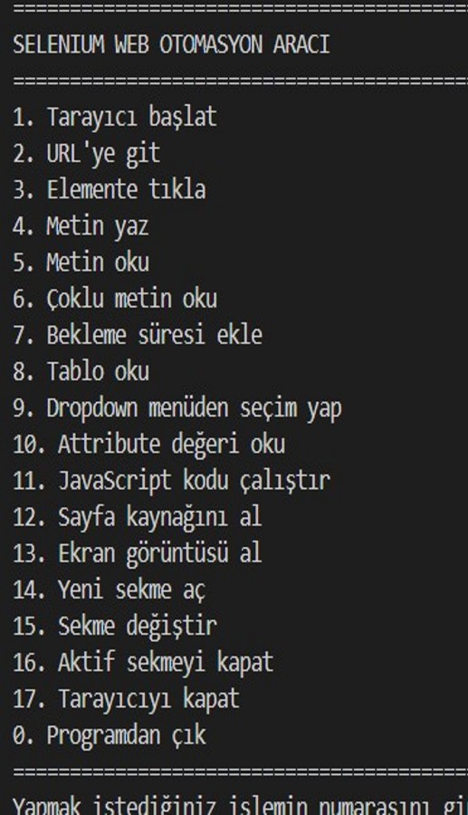 Web Scraping Otomasyonu